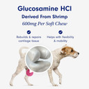 Petlab Co. Joint Care Chews - High Levels Of Glucosamine For Dogs, Green Lipped Mussels, Omega 3 And Turmeric - Dog Hip And Joint Supplement To Actively Support Mobility (Value 2 Pack)