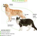 Restorapet 1-Pack Dog & Cat Beef Liquid Multivitamin | Dog Arthritis Pain Relief | Hip & Joint Vitamins For Dogs - Anti Inflammatory Supplement For Dogs & Cats | Organic & Non-Gmo, Vet Approved
