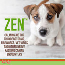 Zen Dog Calming - Calming Aid Supplements For Aggressive Behavior And Nervousness - Calming Dog Treats For Stress Relief & Dog Health - Gel Packets - Braised Beef Flavor, 5 Use