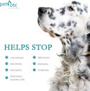 (51-90Lbs Anti Nausea/Motion Sickness Treatment And Preventative For Dogs (Nsxl)