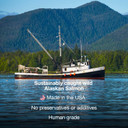 Wild Alaskan Salmon Oil For Dogs, Cats, Ferrets: Unscented Anti-Itch Skin And Coat Supplement With Omega-3 Vitamins - Liquid Fish Allergy Relief Pump On Food - Kitten Supplies & Accessories Stuff