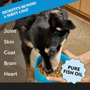 Pet Honesty Wild Alaskan Salmon Oil, Omega-3 Fish Oil For Dogs And Cats, Fatty Acids, Salmon Oil For Dogs, Skin And Coat Health, Pure Dog Food Topper, Supports Joints, Brain & Heart Health - 16 Oz