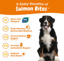 Salmon Fish Oil Omega 3 For Dogs - With Wild Alaskan Salmon Oil - Anti Itch Skin & Coat + Allergy Support - Hip & Joint + Arthritis Dog Supplement + Epa & Dha - 90 Chew Treats - Bacon Flavor