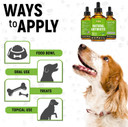 Antibiotics For Cats | Natural Antibiotics For Dogs | Cat Antibiotic | Antibiotics For Dogs | Pet Antibiotic | Dog Antibiotic | Natural Antibiotics For Cats | 2 Oz