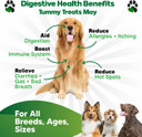 Probiotics For Dogs All Ages - Dog Probiotics For Digestive Health - Digestive Enzymes For Gut Flora, Diarrhea & Bowel Support - Gut Health Support Prebiotics For Dogs - 90 Probiotic Chews For Dogs