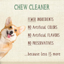 Nylabone Nutri Dent Dog Dental Treats - Natural Dog Teeth Cleaning & Breath Freshener - Dental Treats For Dogs - Filet Mignon Flavor, Mini (78 Count)