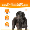 Gigil Treat You Pet Like A King - 100% Natural Deer Split Antlers For Medium Dogs - Premium Elk Antlers - Long Lasting Dog Chew Toy - Naturally Shed And Organic Antlers For Dogs - Size M