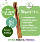 Nature Gnaws Extra Large Bully Sticks For Dogs - Premium Natural Beef Dental Bones - Thick Long Lasting Dog Chew Treats For Aggressive Chewers - Rawhide Free 6 Count (Pack Of 1)