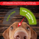 Sancho & Lola'S 6-Inch Jumbo Bully Sticks For Dogs 5-Count - Grass-Fed Free-Range Grain-Free Beef Pizzle Dog Chews