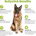 Sancho & Lola'S 6-Inch Jumbo Bully Sticks For Dogs 5-Count - Grass-Fed Free-Range Grain-Free Beef Pizzle Dog Chews