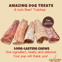 Amazing Dog Treats - 6 Inch Beef Trachea Dog Chews (10 Pcs - 16.5 Oz) - Trachea Dog Treats - No Hide - Digestible And Safe Chews For Dogs - Glucosamine And Chondroitin For Joint Health