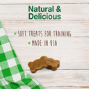 Nylabone Healthy Edibles Natural Chewy Bites Soft Dog Chew Treats Peanut Butter 12 Oz