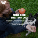 West Paw Freeze-Dried Raw All Natural Dog And Puppy Training Treats, Single Ingredient, Humanely Raised And Sustainably Sourced, Made In Usa, Pork With Superfood, 2 Pack