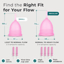 Ecoblossom Menstrual Cup Kit - Tampon, Pad, And Disc Alternative Product - Wear For 12 Hours - Reusable Period Cup/Copa Designed With Soft Flexible Medical-Grade Silicone (Regular Cup)