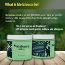 Melaleuca Gel All Natural Air Purifier, Odor Removing Freshener With 100% Australian Tea Tree Essential Oil. Clean Air In Moist Basements, Rv'S, Bathrooms, Boats, And More