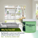 Melaleuca Gel All Natural Air Purifier, Odor Removing Freshener With 100% Australian Tea Tree Essential Oil. Clean Air In Moist Basements, Rv'S, Bathrooms, Boats, And More