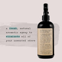 Air Essentials Air Freshener & Odor Eliminator Spray - Made With Pure Essential Oils - Eucalyptus Mint - 12 Ounce - 2 Pack