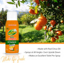 Odoban Aroma Eliminator, 360-Degree Continuous Spray Natural Oil Real Citrus Air Freshener, Toilet Spray, 4-Pack, 10 Ounces Each, Orange Scent