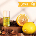 Air Freshener Aerosol, A Great And Magic Fragrance For Home, Office, Car, Bathroom, And Any Room, Odor Eliminato Lemon - 6.25 Fl.Oz