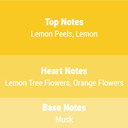 Air Freshener Aerosol, A Great And Magic Fragrance For Home, Office, Car, Bathroom, And Any Room, Odor Eliminato Lemon - 6.25 Fl.Oz