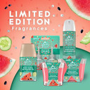 Glade Area_Deodorizer (Stay Cool Watermelon, 6.2 Ounce (Pack Of 1))