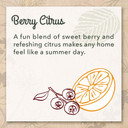 Eco Me Natural Environmentally Friendly Sudsing Liquid Dish Soap, Healthy Citrus Berry Scent, 16 Ounces