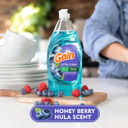 Gain Ultra Bleach Dishwashing Liquid Dish Soap, Honey Berry Hula Scent - 38 Fl Oz (Pack Of 2) - Packaging May Differ
