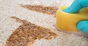 Capture Spot And Stain Remover Carpet - Dirt, Juice, Coffee, Wine, Food And Tough Rug Stains Eliminator - Couch, Sofa Cleaner And Stain Remover - Multi-Purpose Cleaning Essentials (32 Oz)