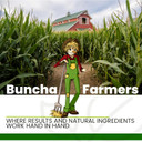 Buncha Farmers-The Best-100% All Natural, Biodegradable, Environmentally Friendly Stain Remover Stick (Made In Canada 1.76 Oz) - 5 Pack