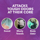 Oxiclean Odor Blasters Odor And Stain Remover Laundry Booster Liquid, 50 Fl Oz