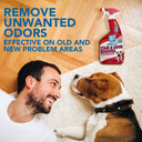 Out! Petcare Advanced Stain And Odor Remover | Pro-Bacteria And Enzyme Formula For Tough Stains And Odor | 32 Oz (Pack Of 2)