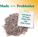 Manna Pro Chick Grit With Probiotics | Formulated With Probiotics And Supports Healthy Digestion | 5 Pounds