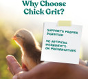 Manna Pro Chick Grit With Probiotics | Formulated With Probiotics And Supports Healthy Digestion | 5 Pounds