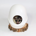 Press 'N' Slide Feed Station - Durable Mounted Food Bowl Dish - Sugar Gliders, Squirrels, Prairie Dogs, Degus, Marmosets, Parrots, Birds, Rats, Hamsters, Gerbils & Other Small Petsã¢Â (With Dome)
