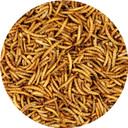 Dried Mealworms - 100% Natural, Non-Gmo, High Protein, Bulk Insect Treat For Chicken, Laying Hen, Chick, Wild Bird, Bluebird, Duck, Goose, Turkey, Chickadee, Titmice, Wren, Reptile, Fish (11 Lb.)