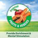 Kaytee Fiesta Macaw Pet Bird Food, 4.5 Lb