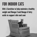 Bixbi Rawbble Dry Food Chicken Salmon Recipe For Indoor Cats, 3Lb