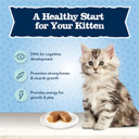 Blue Buffalo Baby Blue Natural Grain-Free Wet Food For Kittens, Healthy Growth Formula With Dha, High-Protein Chickwn Patã£Â©, 3 Oz. Can