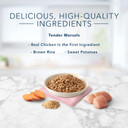 Blue Buffalo Tastefuls Natural Tender Morsels Wet Cat Food, Chicken Entrã£Â©E 5.5-Oz Cans (Pack Of 24)