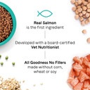 Canidae Goodness For Skin And Coat, Premium Adult Dry Cat Food With Real Salmon, 10 Lbs