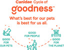 Canidae Goodness For Skin And Coat, Premium Adult Dry Cat Food With Real Salmon, 10 Lbs