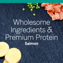 Canidae Pure Limited Ingredient Premium Dry Cat Food, Real Salmon Recipe, 5 Lbs, Grain Free