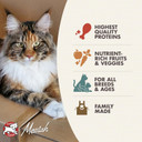 Fromm Four-Star Nutritionals Game Bird Recipe Dry Cat Food, 10 Lb