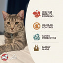 Fromm Indoor Cat Gold Dry Cat Food - Hairball Management Cat Food For Adult Cats - Chicken Recipe - 4 Lb