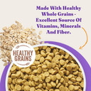 Halo Holistic Cat Food Dry, Wild-Caught Salmon And Whitefish Recipe, Complete Digestive Health, Dry Cat Food Bag, Adult Formula, 10-Lb Bag Halo Holistic Cat Food Dry, Wild-Caught Salmon And Whitefish Recipe, Complete Digestive Health, Dry Cat Food Bag, Adult Formula, 10-Lb Bag