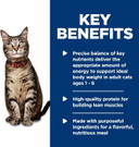 Hill'S Science Diet Adult 1-6, Adult 1-6 Premium Nutrition, Wet Cat Food, Ocean Fish Minced, 2.9 Oz Can, Case Of 24