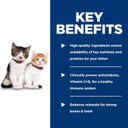 Hill'S Science Diet Kitten, Kitten Premium Nutrition, Wet Cat Food, Turkey Minced, 5.5 Oz Can, Case Of 24