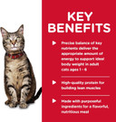 Hill'S Science Diet Adult 1-6, Adult 1-6 Premium Nutrition, Wet Cat Food, Salmon Minced, 5.5 Oz Can, Case Of 24