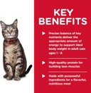 Hill'S Science Diet Adult 1-6, Adult 1-6 Premium Nutrition, Wet Cat Food, Turkey Minced, 5.5 Oz Can, Case Of 24