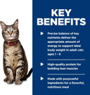 Hill'S Science Diet Adult 1-6, Adult 1-6 Premium Nutrition, Wet Cat Food, Liver & Chicken Minced, 5.5 Oz Can, Case Of 24